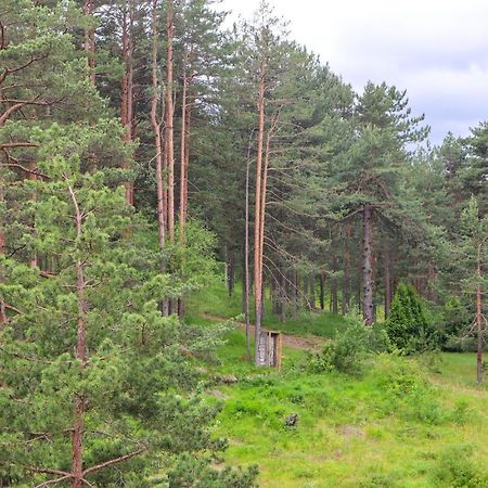 Appartement Zlatibor Holiday, Vila Leonardo VI Extérieur photo