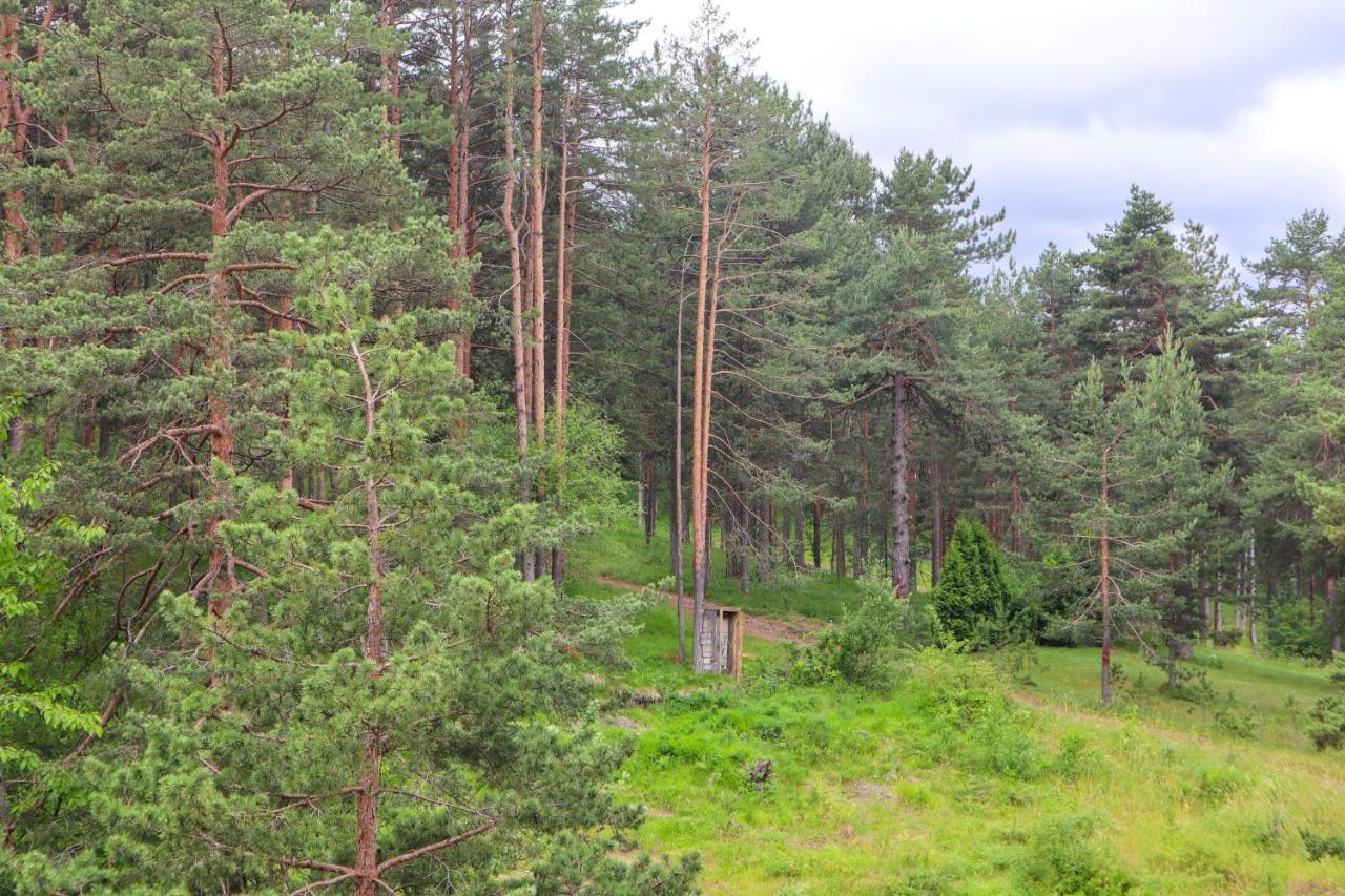 Appartement Zlatibor Holiday, Vila Leonardo VI Extérieur photo